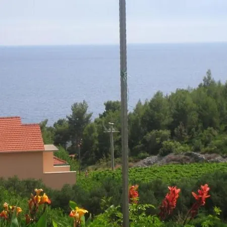 Apartman With A Parking Space Ivan Dolac, Hvar - 15483 *